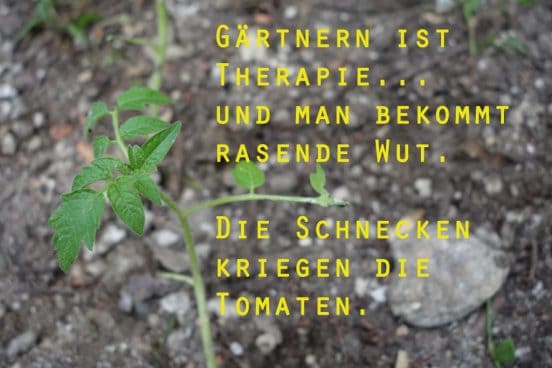 If gardening is therapy…