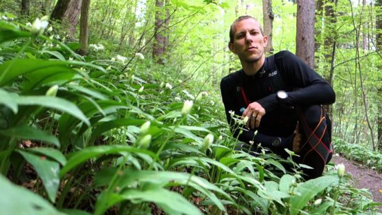 Looking at Wild Leeks