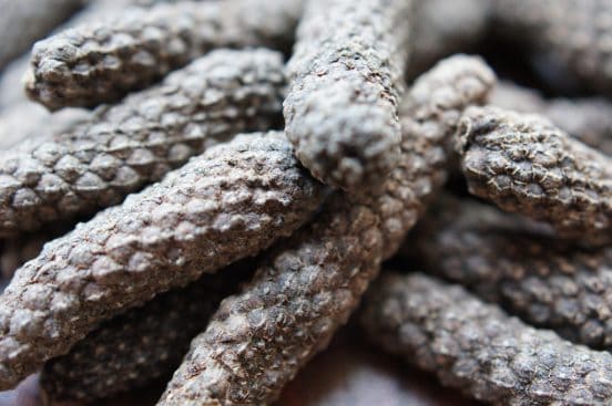 Long Pepper (Piper longum)