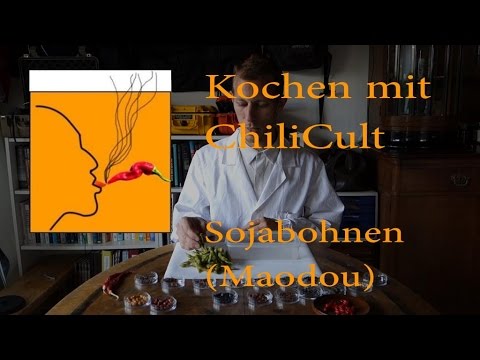 Cooking with ChiliCult: Soybeans (Maodou)