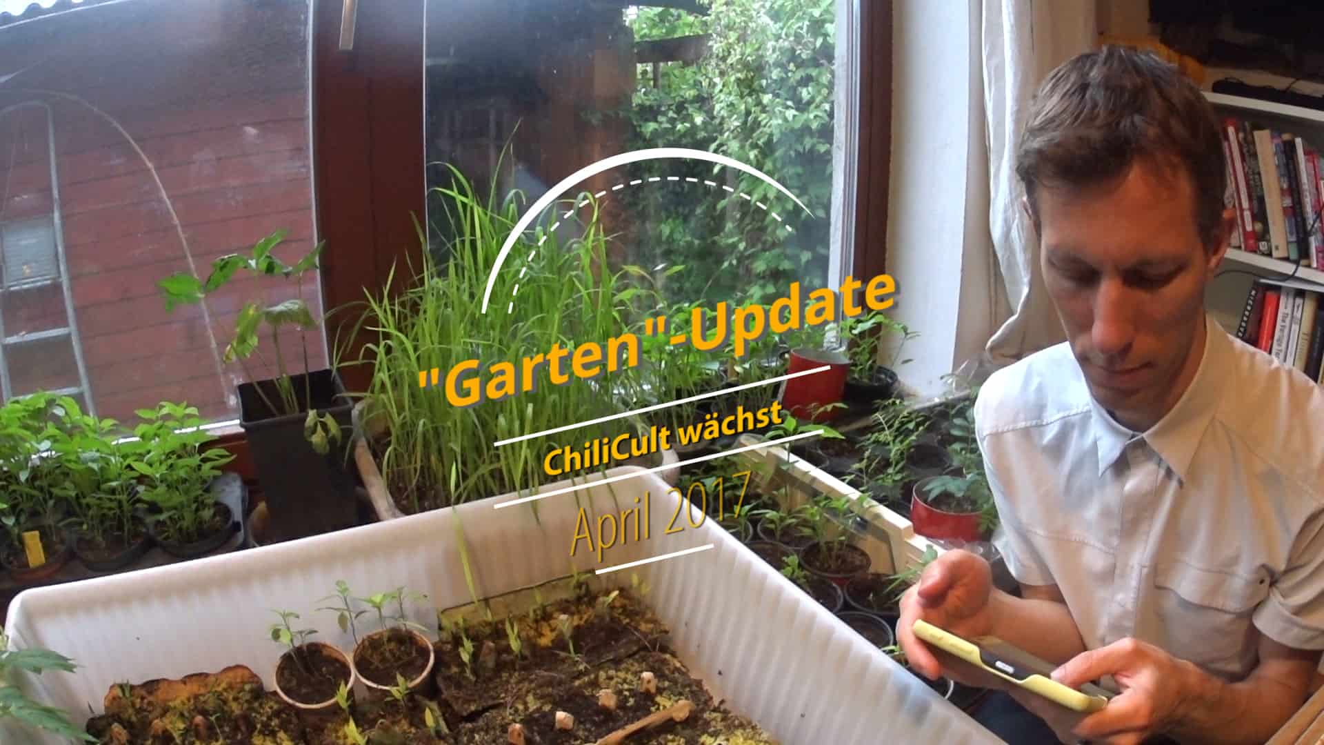 ChiliCult Garten Update - Es wächst, und es wird kalt