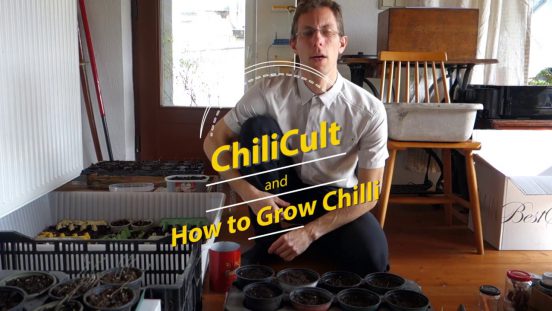 How to Grow Chilli
