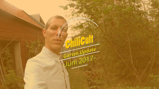 Garden Update 4: June 2017