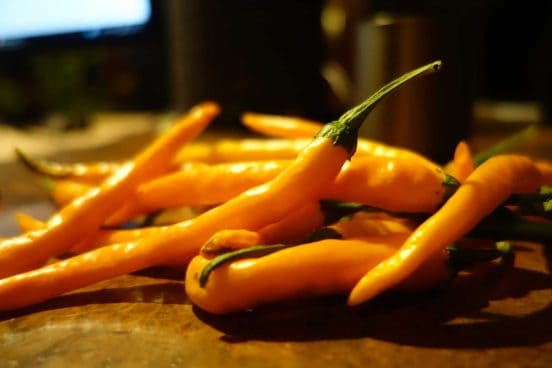 Hengdong, the Yellow, Emperor’s, Pepper