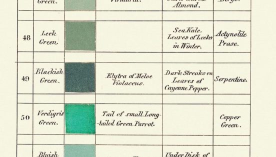 Chile Trouvée: Blackish-Green per Syme, Werner’s Nomenclature of Colors