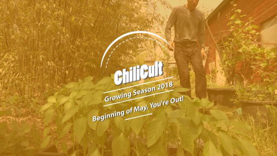 Growing Season 2018, Beginning of May: And you’re Out!