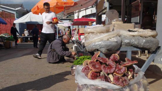 On the Trail of the Chilli in Dali, Yunnan