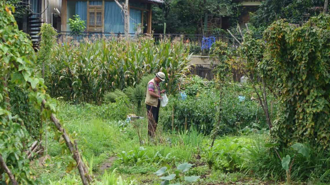 Shuhe Old Town… and Standing in Vegetable Fields in China as a Stranger